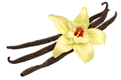 Vanilla Powder