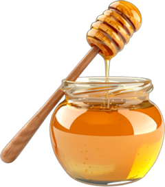 Organic Honey