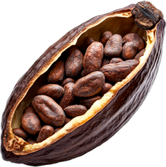 Raw Cacao